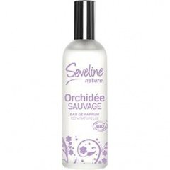 Seveline - Orchidée Sauvage